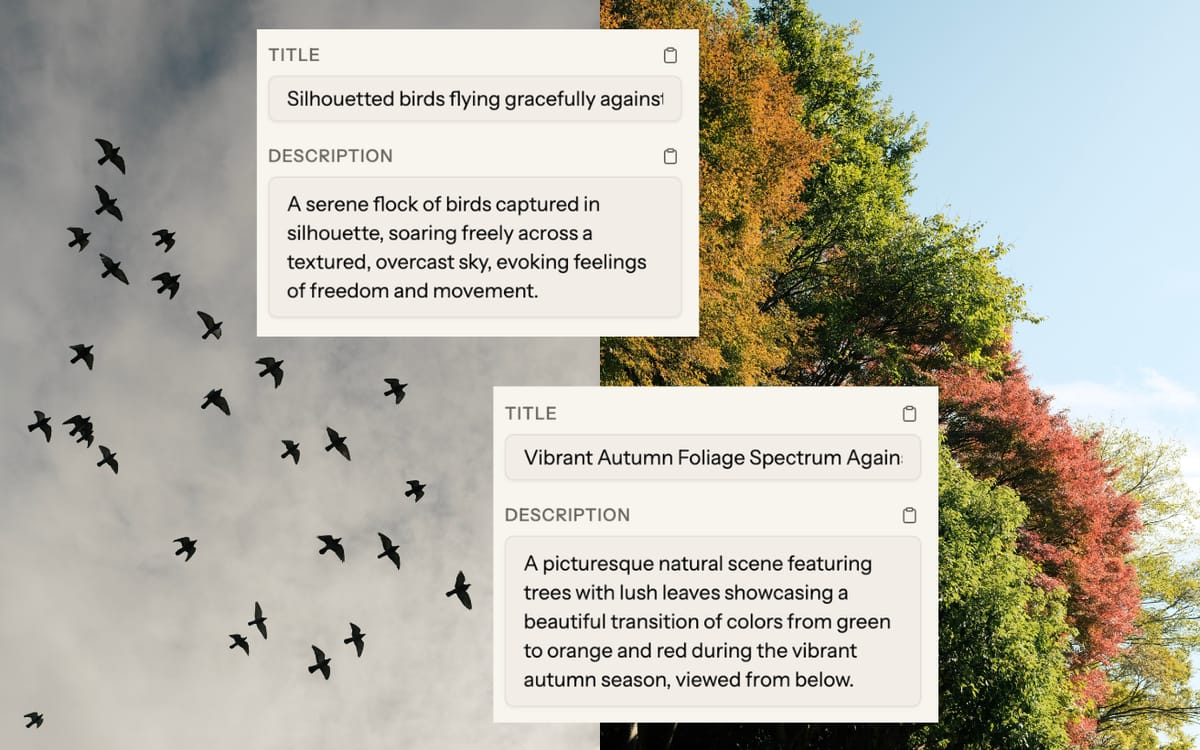 Screenshot: Picseta generating metadata for three different photos — a food shot, a landscape, and a portrait — showing consistent keyword quality across all three