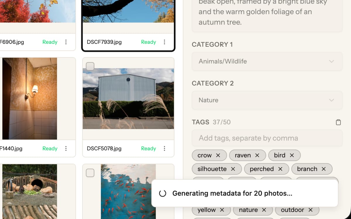 Screenshot: Picseta's batch generation interface showing 20 photos being processed simultaneously, with a progress indicator and per-photo status