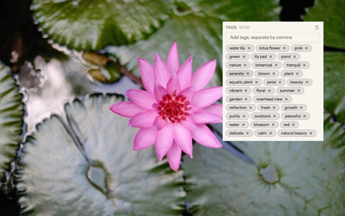 Screenshot: Picseta keyword editor showing all five keyword categories with 38 keywords total, including feeling tags and color tags highlighted