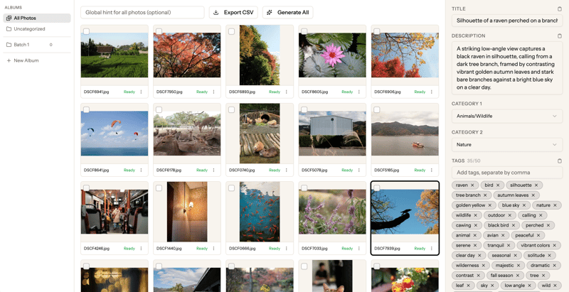 Screenshot of a photo metadata editor panel showing the generated title, description text area, and a scrollable list of ~35 keywords with individual remove buttons and a CSV export button